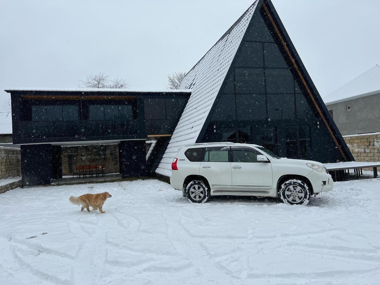 Qafqaz Wood Chalet กาบาลา ภายนอก รูปภาพ